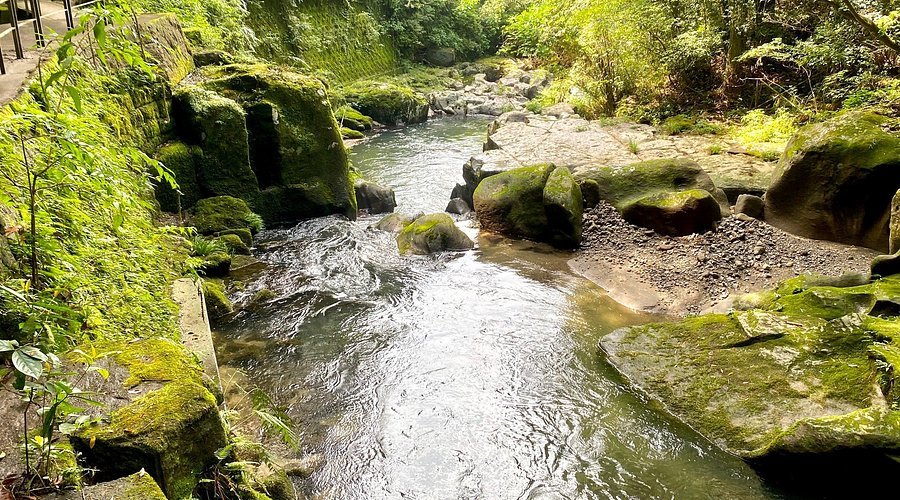 🌊 세키요시 수로 (세키요시노소수이코) 이미지 6